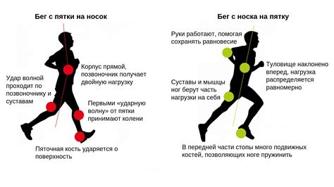 Правильная техника высадки