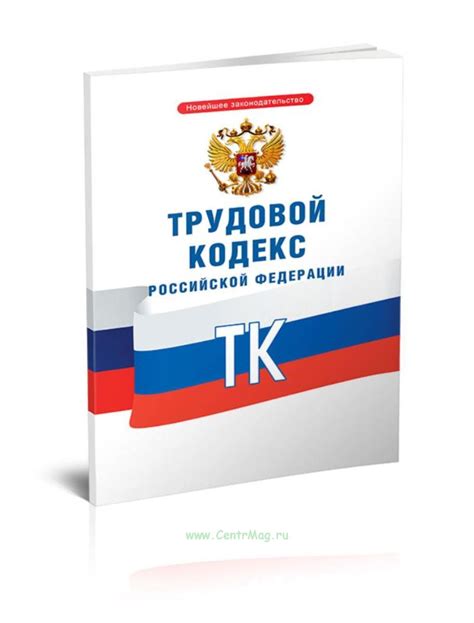 Правовые основы: трудовой кодекс и судебная практика