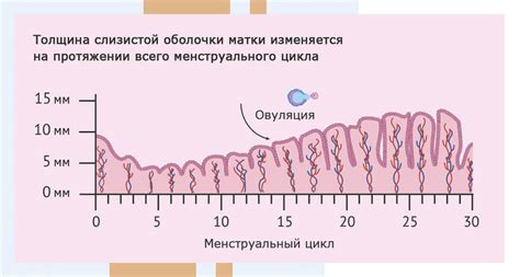 Предупреждение увеличения эндометрия после овуляции