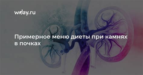 Преимущества использования грелки при камнях в почках