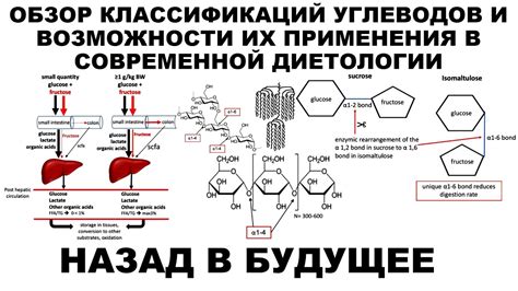 Преимущества и возможности искусственных углеводов