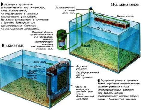 Преимущества и недостатки использования мыльной воды для цветов