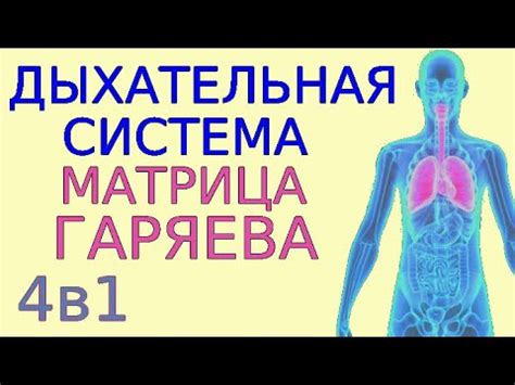 Преимущества молока для дыхательной системы