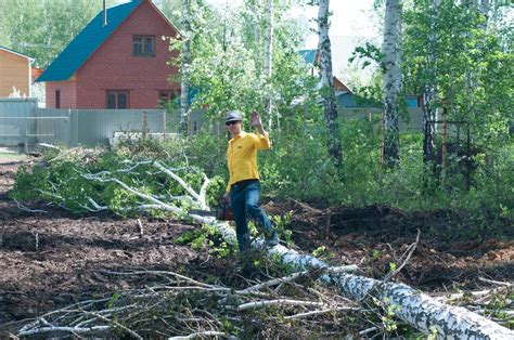 Преимущества удаления поросли