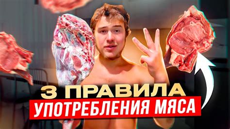 Преимущества употребления мяса волка