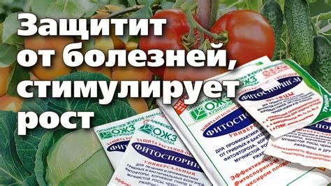 Преимущества фитоспорина для растений