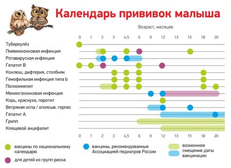 Прививка ребенку: утро или вечер?