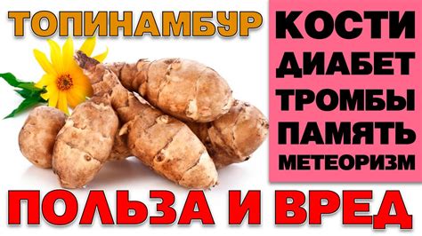 Признаки цветения топинамбура