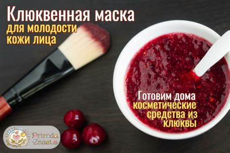 Применение клюквы в косметологии