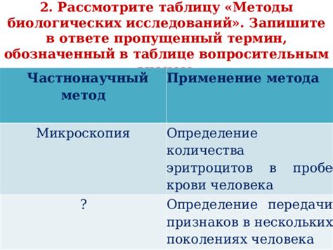 Применение модели копирования признаков в разных областях