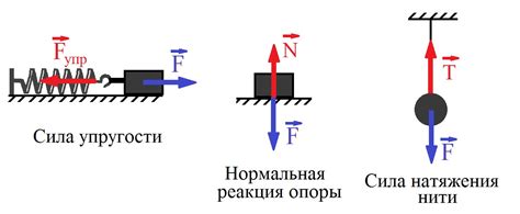 Примеры проявления силы упругости в жизни