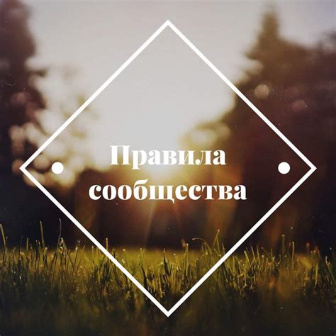 Примите правила сообщества