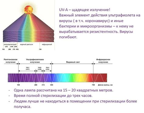 Принцип действия ультрафиолетовой лампы от плесени