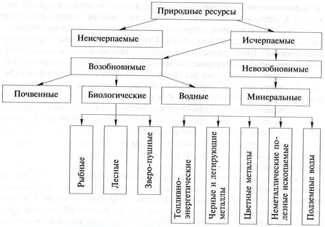 Природные волокна и их важность для экологии