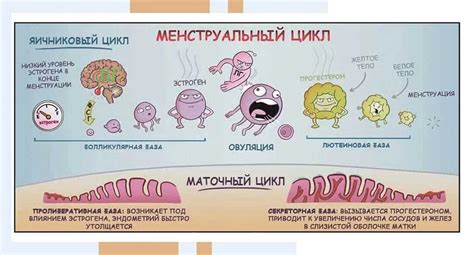 Причины, почему нужно становиться на ноги в разговоре