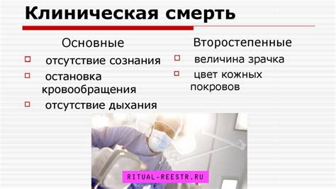 Причины возникновения клинической и биологической смерти