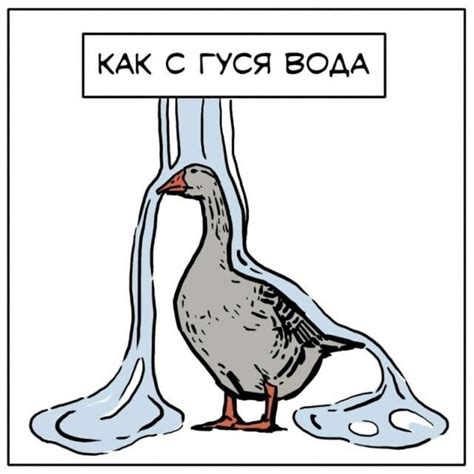 Причины говорить как с гуся вода