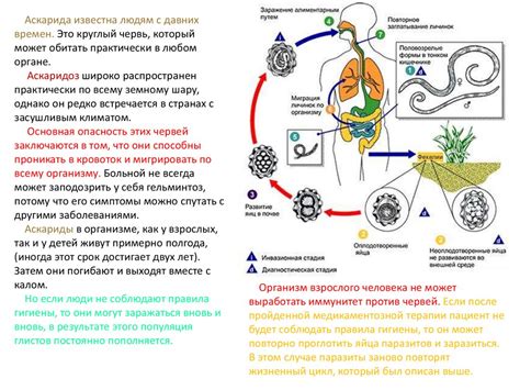 Причины заражения грибными червями