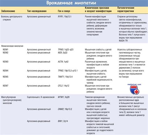 Причины и факторы риска развития токсической эритемы