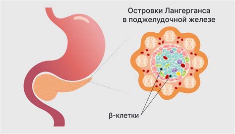 Причины недостатка крови в организме