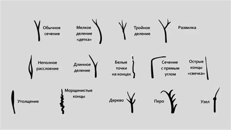 Причины ослабления структуры волос