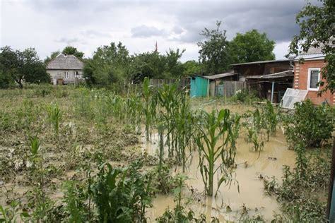 Причины повышения уровня грунтовых вод