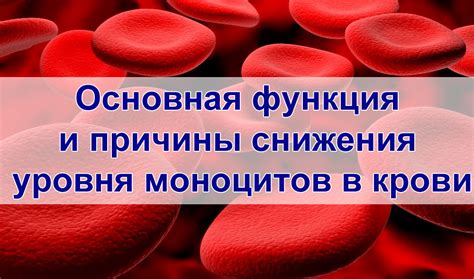 Причины понижения уровня лимфоцитов и повышения уровня моноцитов