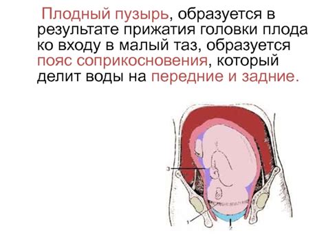 Причины прижатия головки плода