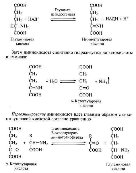 Причины распада аминокислот