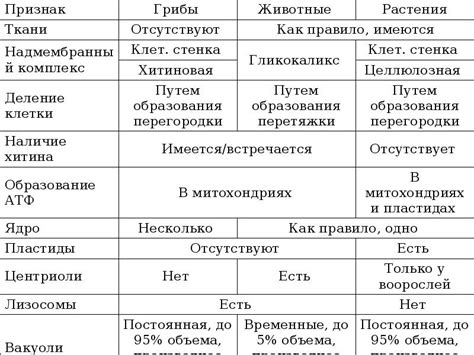 Пробка и желчь: их отличия и сходства