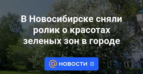 Проблемы дефицита зеленых зон в городе