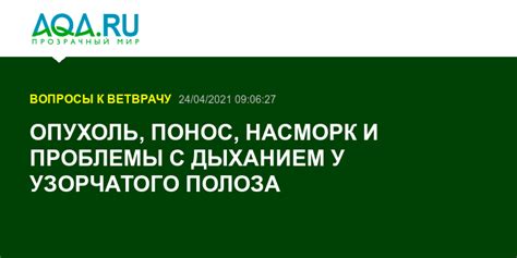 Проблемы с дыханием и насморк