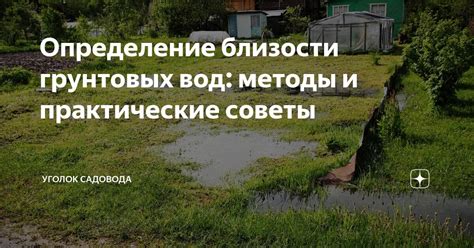 Проблемы с оросительными системами при близости грунтовых вод к поверхности