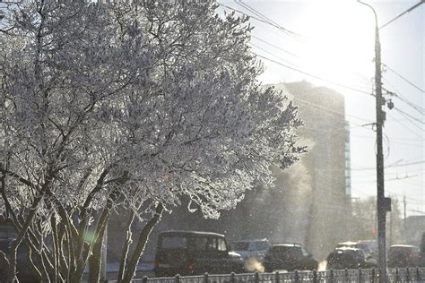 Прогноз погоды в Тульской области на предстоящую зиму