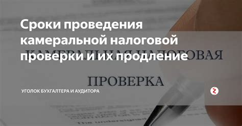 Продление камеральной проверки по УСН: правовые возможности