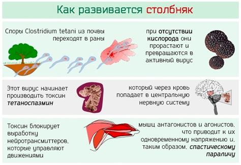 Происхождение болезни и механизм заражения