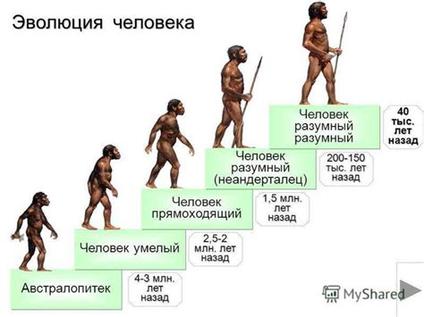 Происхождение и эволюция букв