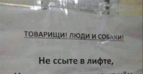 Просьба соседей