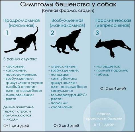 Противодействие распространению заболевания в инкубационный период