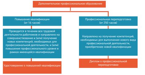 Профессиональное образование и дополнительные курсы