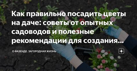 Профессиональные советы садоводов