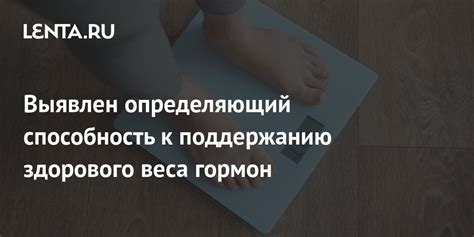 Профилактика глистных зараз: ключ к поддержанию здорового веса