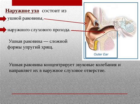 Профилактика заложенности уха