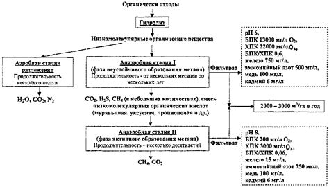 Процессы разложения