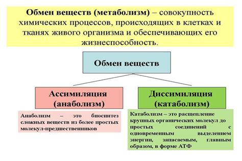 Процесс обмена правами