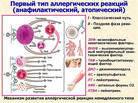 Проявление аллергической реакции