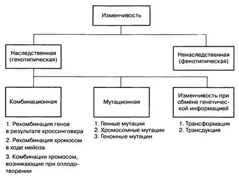 Проявления изменчивости