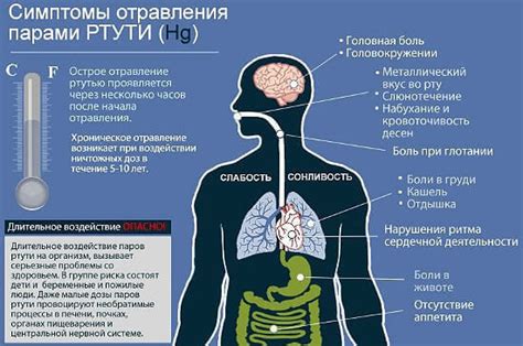 Проявления отравления ртутью