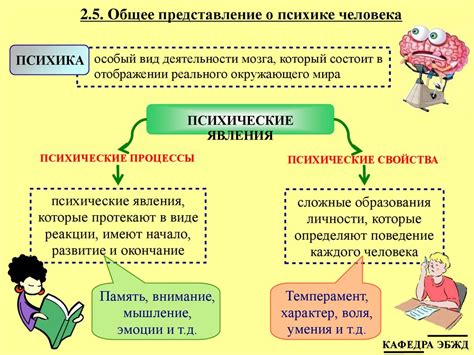 Психологические и физиологические механизмы