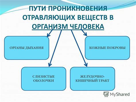 Пути попадания глистов в организм человека: пища, вода, группы риска